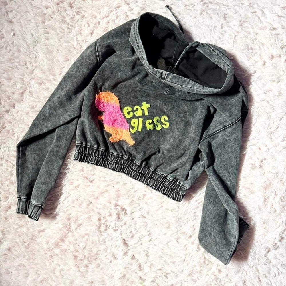 Upcycled Rude Sassy Dinosaur Weird Quirky Handmade Cropped Hoodie Womens M